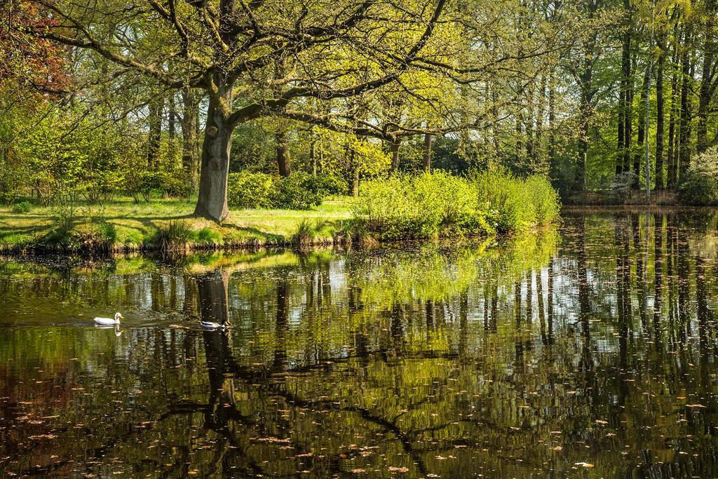 Hotel Kasteel De Essenburgh Hierden Eksteriør bilde